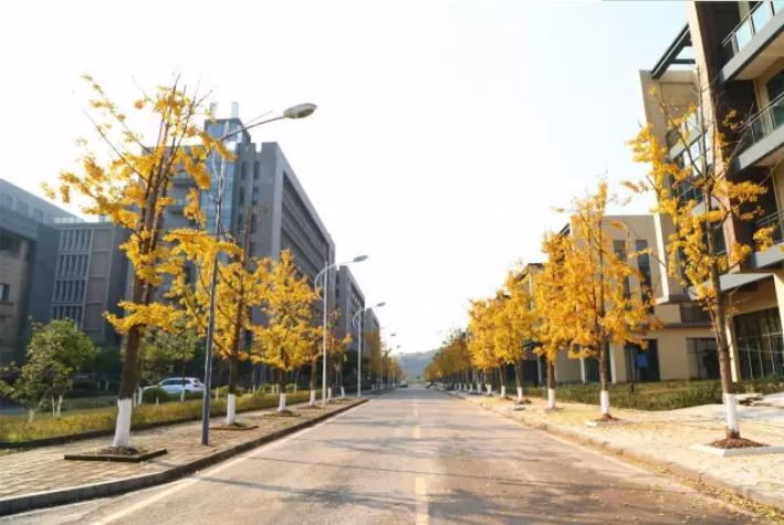 足下软件学院